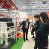 Компания Италагро Изображение 2