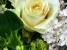 Цветочный магазин Роза плаза Изображение 3