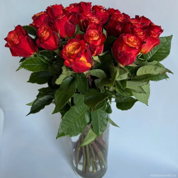 Букет из 15 удивительных и ибольших роз Атомик по спец.цене