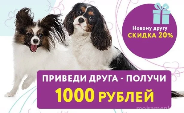 Акция «Приведи друга - получи 1000 рублей»