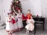 Мастерская балета Егора Симачева на Ломоносовском проспекте Изображение 1
