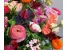Лютики Цветочки на Ломоносовском проспекте Изображение 1