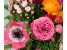 Лютики Цветочки на Ломоносовском проспекте Изображение 4